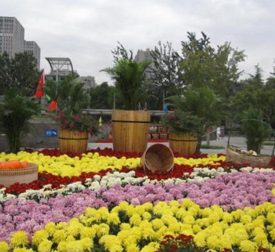 齐齐哈尔城市菊展设计